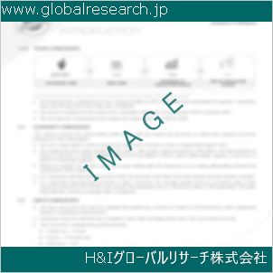 グローバルリサーチ調査資料のイメージ